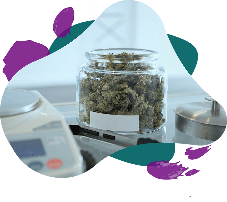 Cannabis In A Jar