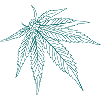 Green Cannabis Leaf